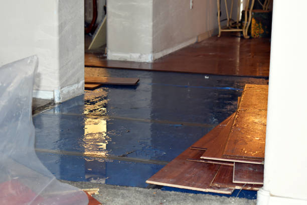 Professional Basement Flood Cleanup technician working in North Falmouth, MA